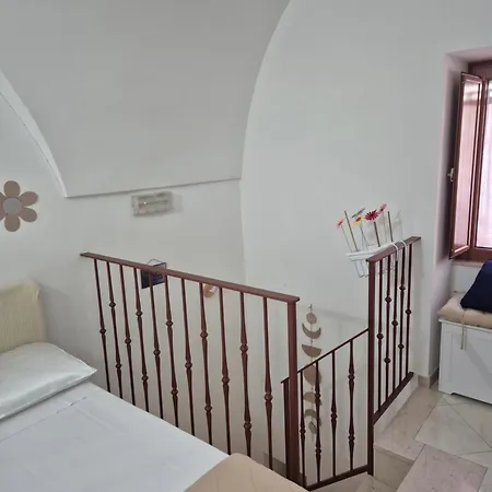 Cv Mira House